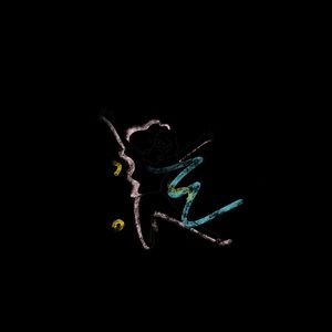 Meet your Posher, Xun